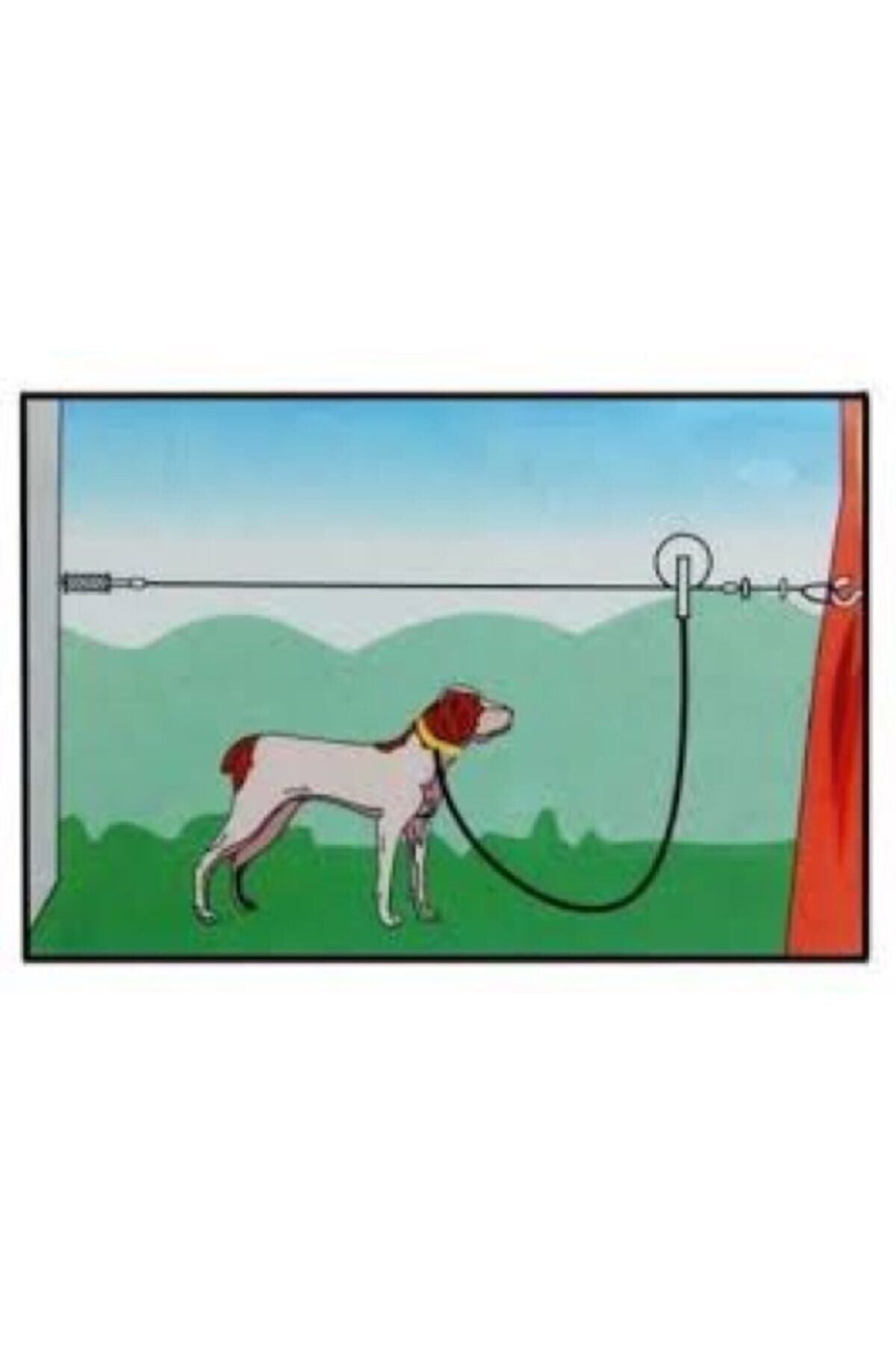 Köpekler Için Çelik Bahçe Bağlama Halatı 5 Mmx6 Mt