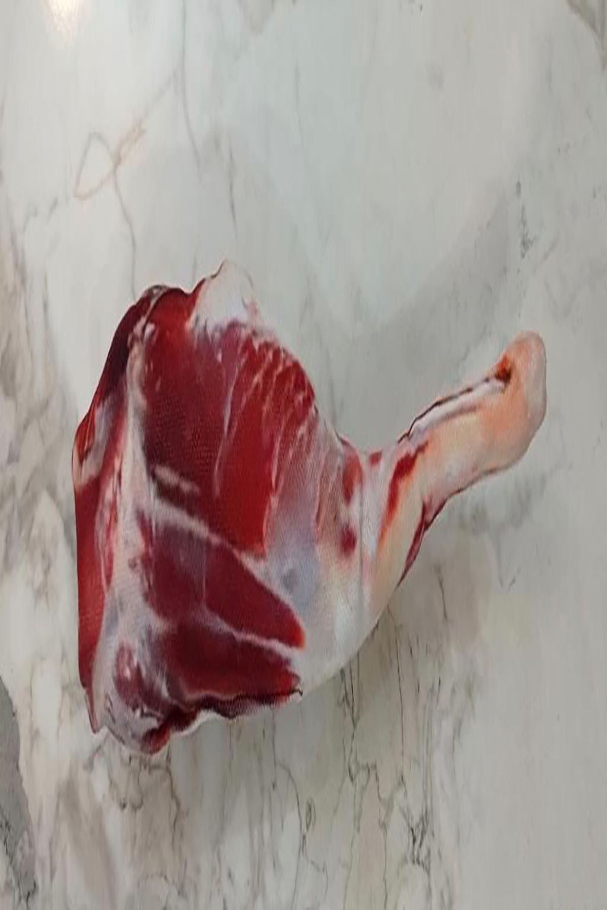 A Kalite Köpek Oyuncağı Kemik