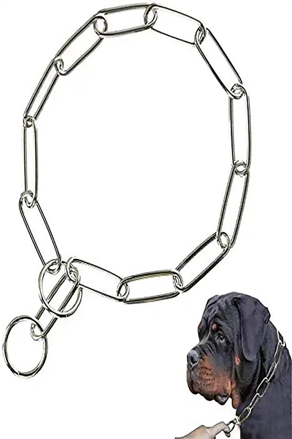 Köpek Tasma 65 cm Zinciri